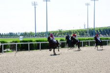 Азербайджанец в Туркменистане – Древняя Ниса, Ахалтекинские красавцы, удивительные экспонаты (ФОТО)
