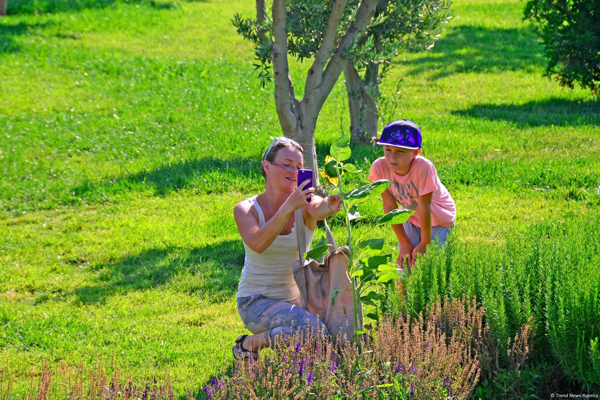 Еще один облик Баку - Центральный парк(ФОТО)