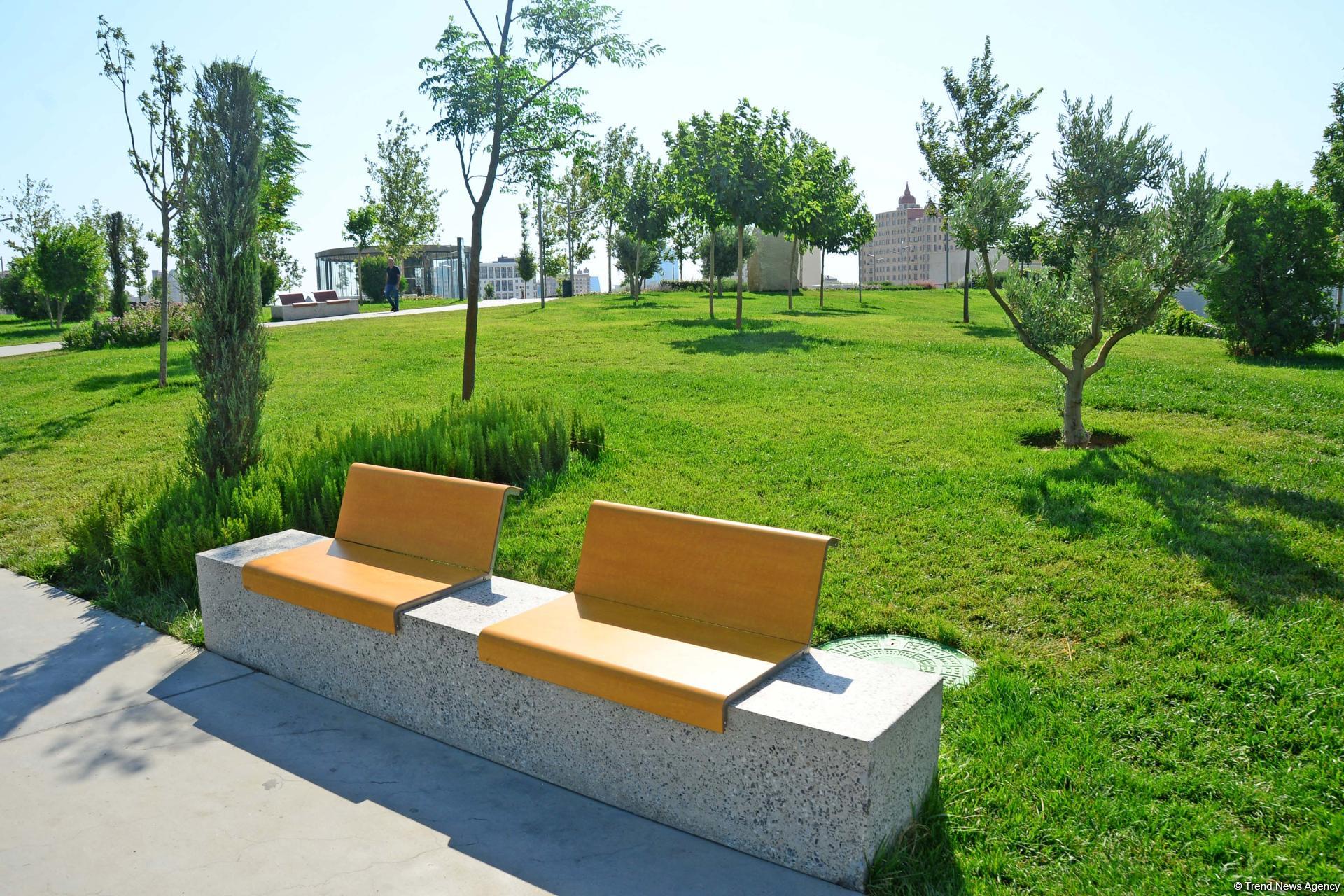 Еще один облик Баку - Центральный парк(ФОТО)