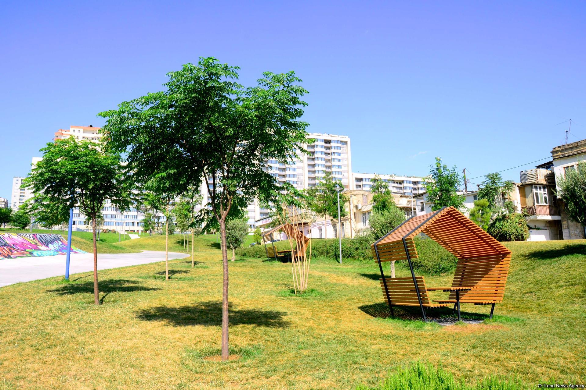 Еще один облик Баку - Центральный парк(ФОТО)