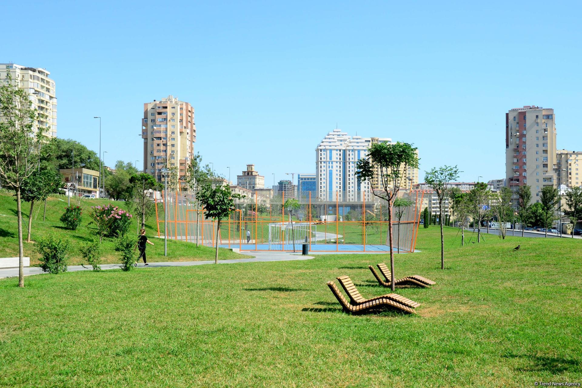 Еще один облик Баку - Центральный парк(ФОТО)