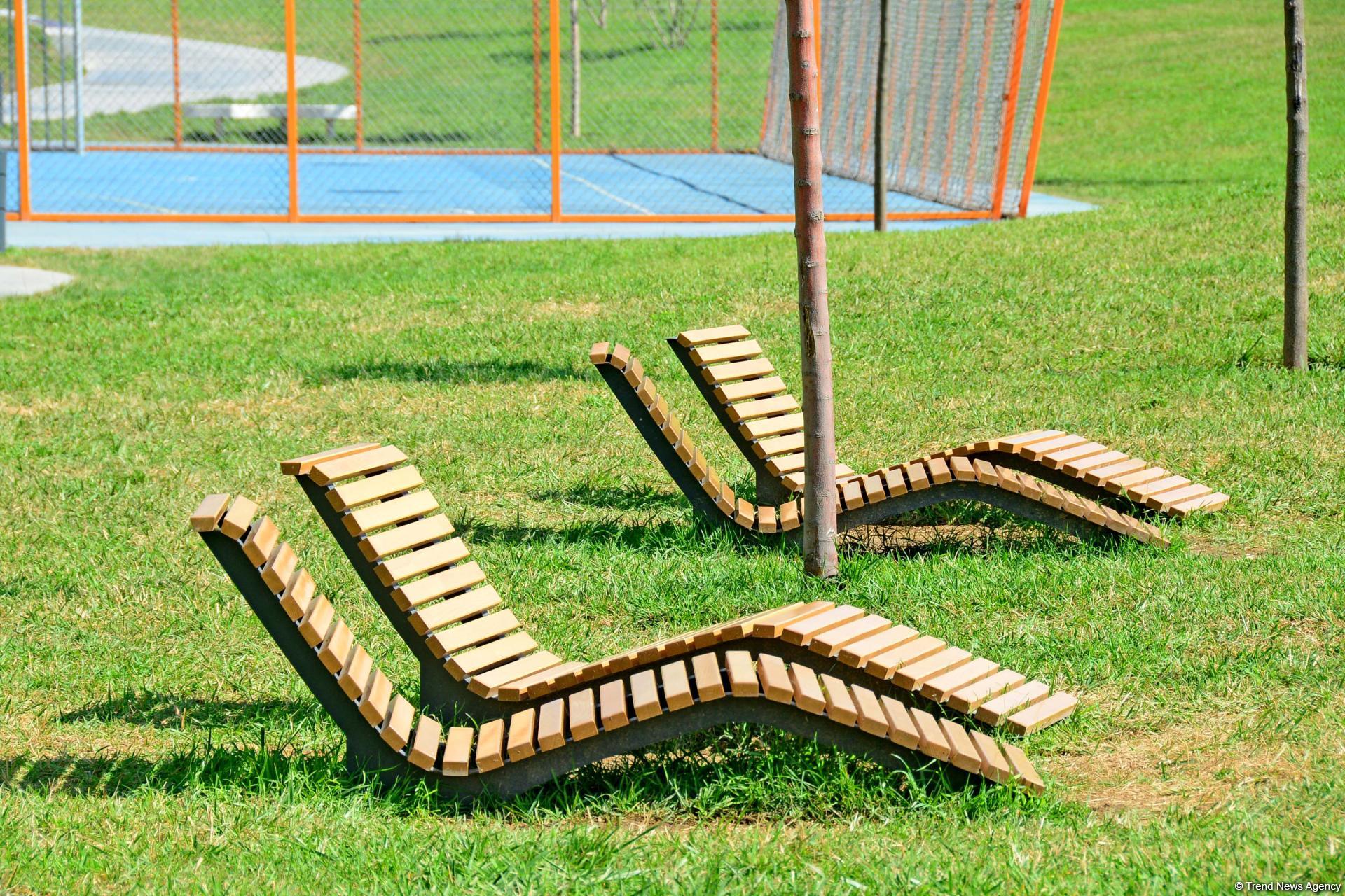 Еще один облик Баку - Центральный парк(ФОТО)