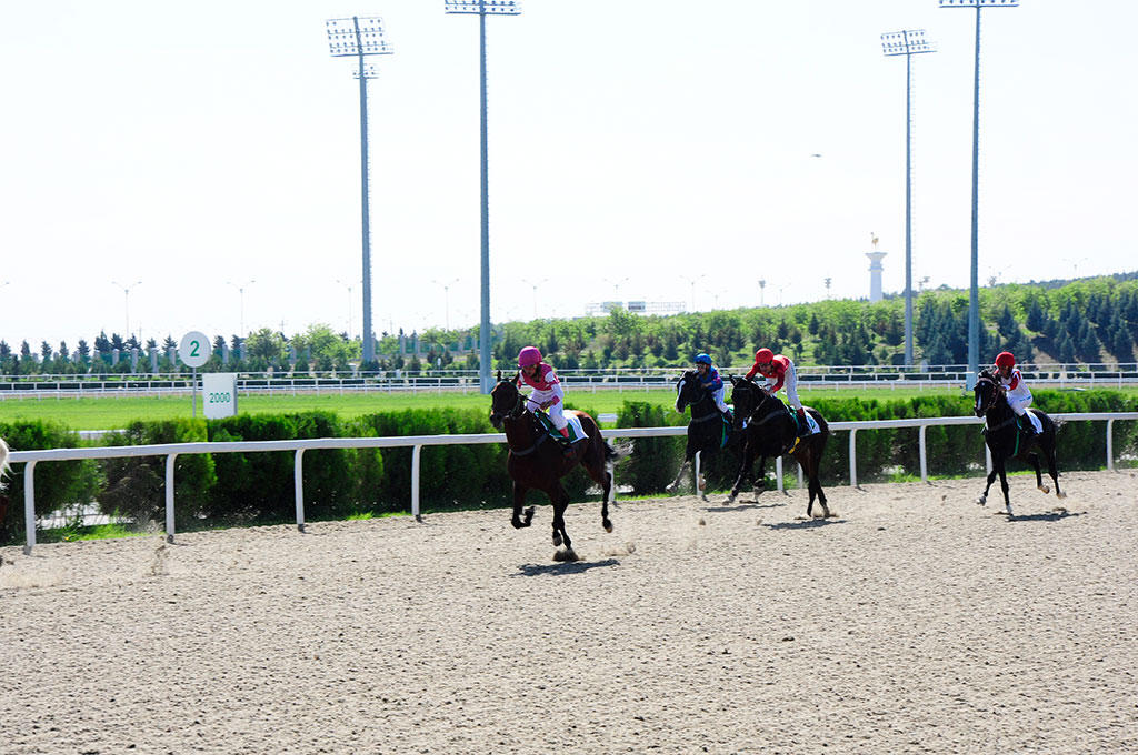 Азербайджанец в Туркменистане – Древняя Ниса, Ахалтекинские красавцы, удивительные экспонаты (ФОТО)