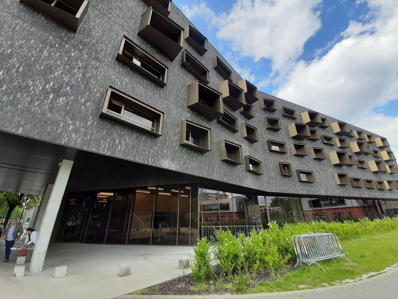 Азербайджанцы призывают Европу к совершенству через философию Насими (ФОТО)