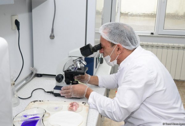 В Азербайджане санитарная экспертиза жертвенного мяса будет проводиться бесплатно (ФОТО)