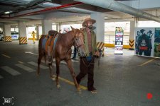 Герои Квентина Тарантино "ожили" в Баку (ФОТО/ВИДЕО)