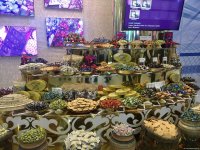 В Авазе проводится первый Каспийский экономический форум (Фоторепортаж)