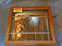 Чарующая природа села Киш (ФOTO)