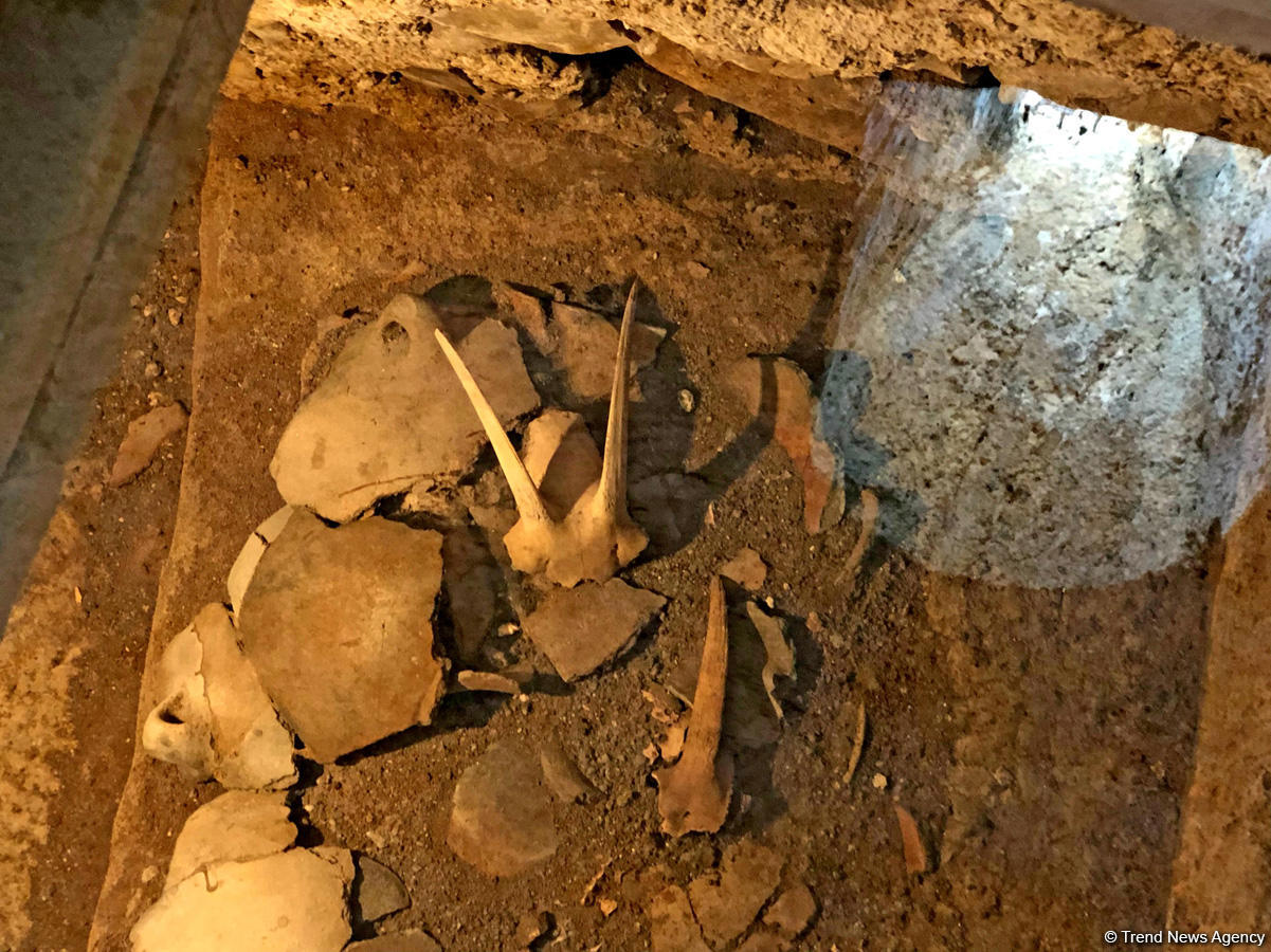 Чарующая природа села Киш (ФOTO)