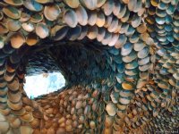 Первый в мире дом из ракушек создан в Талышских горах Азербайджана (ВИДЕО,ФОТО)