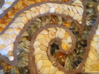 Первый в мире дом из ракушек создан в Талышских горах Азербайджана (ВИДЕО,ФОТО)