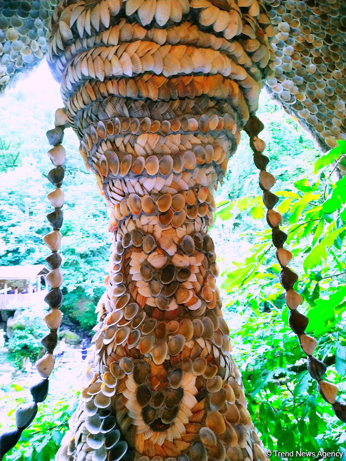 Первый в мире дом из ракушек создан в Талышских горах Азербайджана (ВИДЕО,ФОТО)