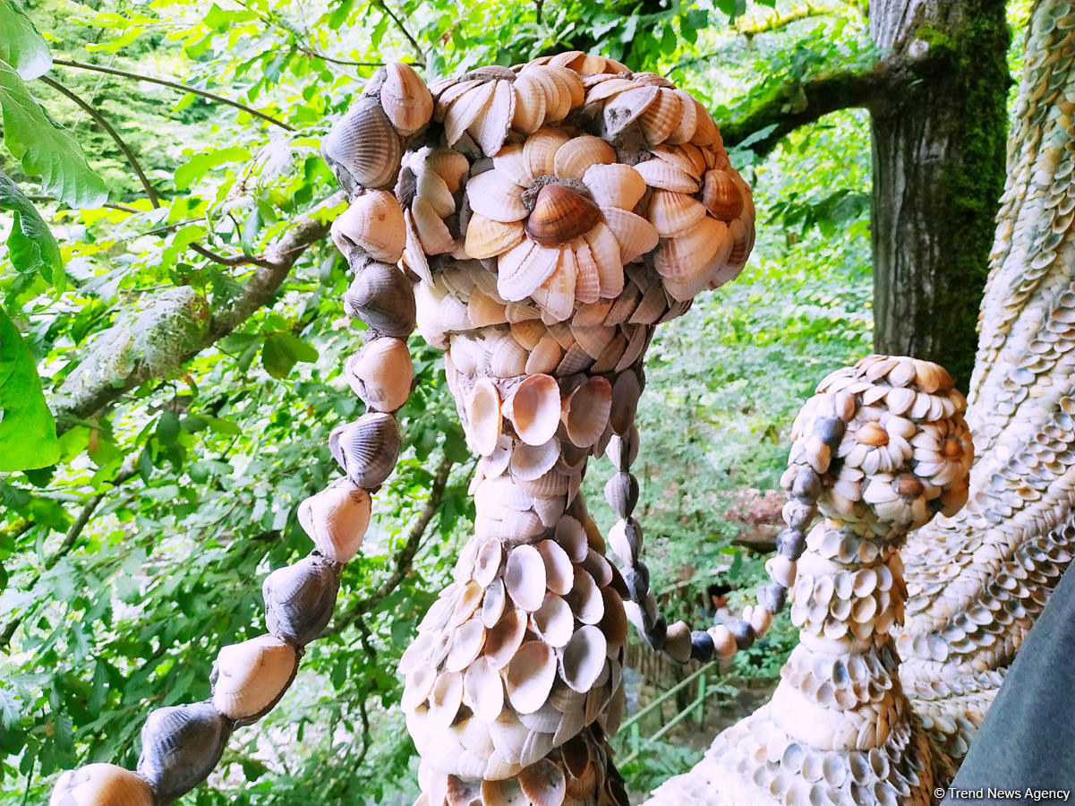 Первый в мире дом из ракушек создан в Талышских горах Азербайджана (ВИДЕО,ФОТО)