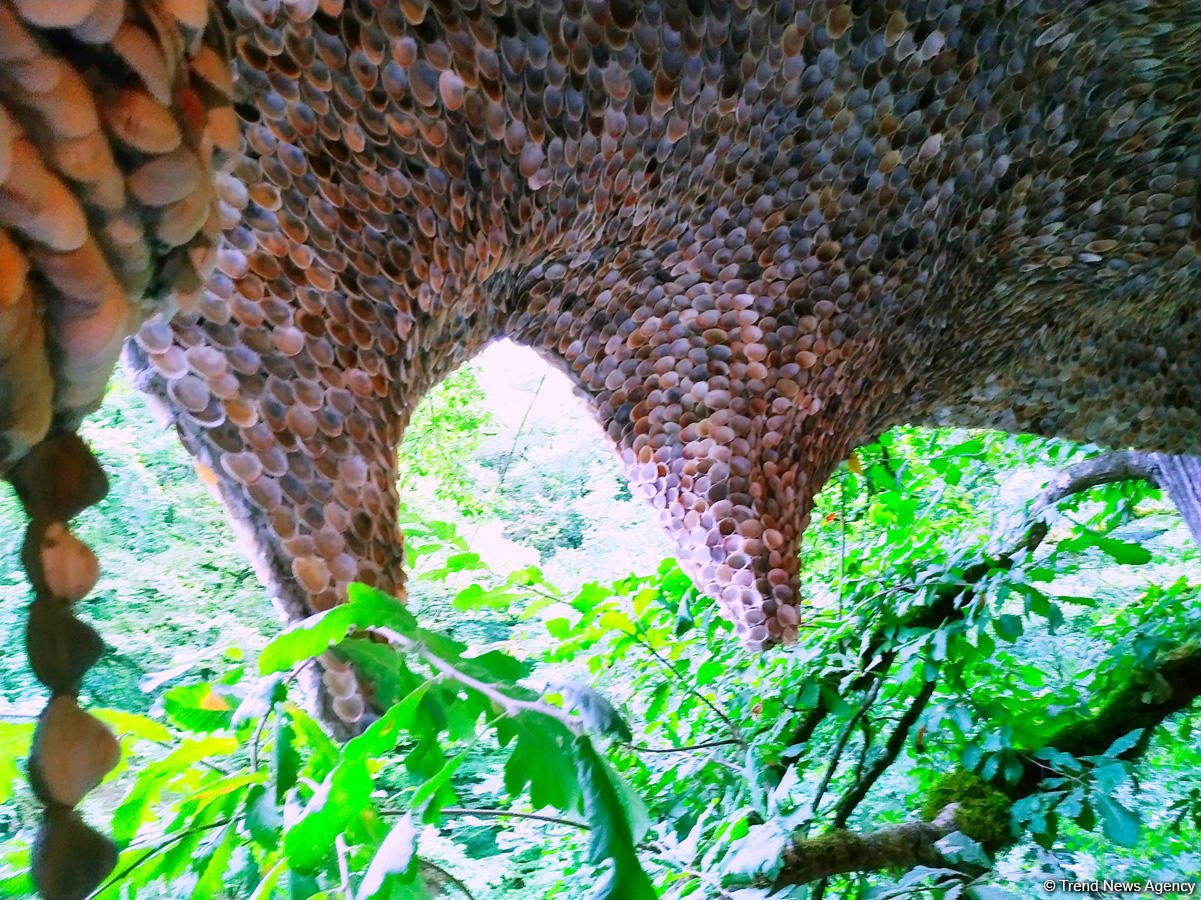 Первый в мире дом из ракушек создан в Талышских горах Азербайджана (ВИДЕО,ФОТО)