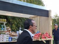 Азербайджанский гранат как символ единства Москвы (ФОТО)