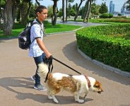 "Алмазное ожерелье" Баку (Фоторепортаж)