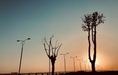 Осенний восход над Бакинской бухтой – красота неимоверная (ВИДЕО, ФОТО)