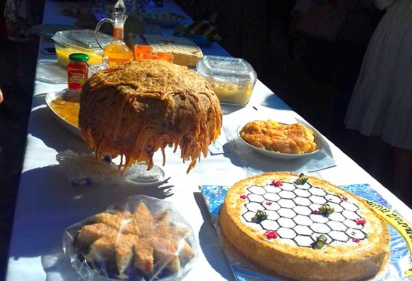 В Гахе прошел Фестиваль меда. Экология на страже здоровья семьи (ФОТО)