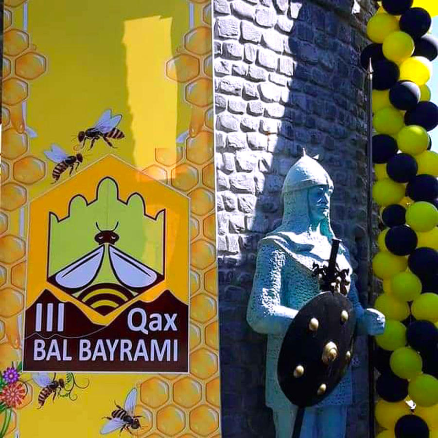 В Гахе прошел Фестиваль меда. Экология на страже здоровья семьи (ФОТО)