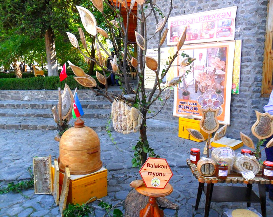 В Гахе прошел Фестиваль меда. Экология на страже здоровья семьи (ФОТО)