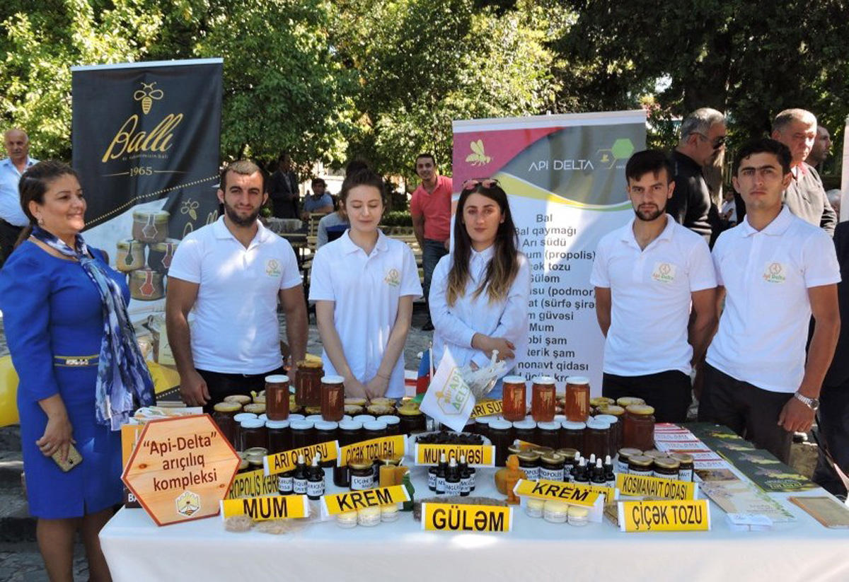 В Гахе прошел Фестиваль меда. Экология на страже здоровья семьи (ФОТО)