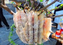 В Гахе прошел Фестиваль меда. Экология на страже здоровья семьи (ФОТО)