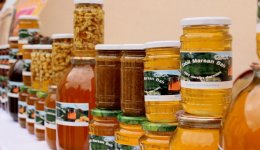 В Гахе прошел Фестиваль меда. Экология на страже здоровья семьи (ФОТО)