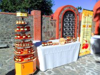 В Гахе прошел Фестиваль меда. Экология на страже здоровья семьи (ФОТО)