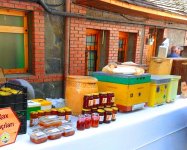 В Гахе прошел Фестиваль меда. Экология на страже здоровья семьи (ФОТО)