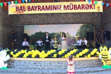 В Гахе прошел Фестиваль меда. Экология на страже здоровья семьи (ФОТО)