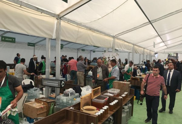 В Баку открылась ярмарка меда (ФОТО)