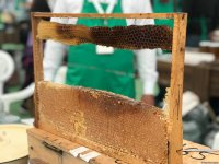 В Баку открылась ярмарка меда (ФОТО)