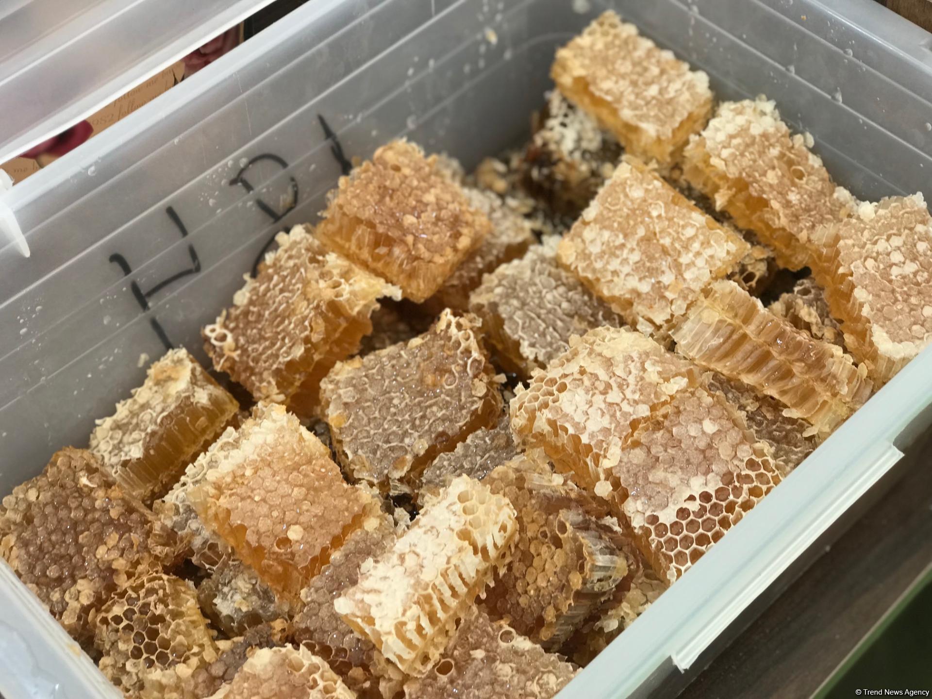 В Баку открылась ярмарка меда (ФОТО)