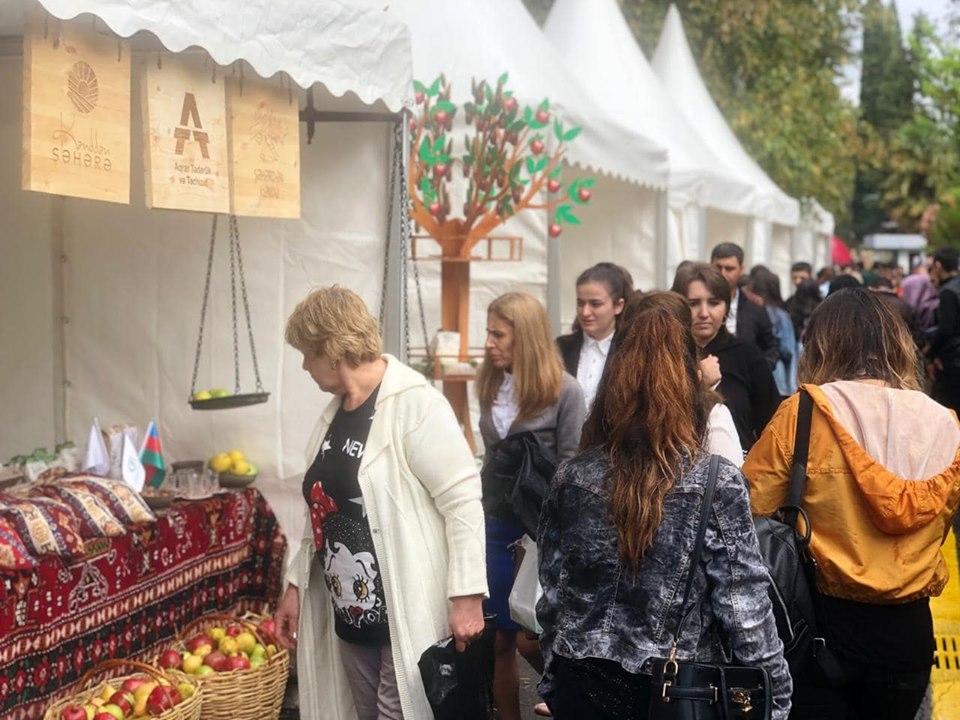 Как прошел Международный фестиваль фундука, грецкого ореха и каштана в Загаталы (ФОТО)