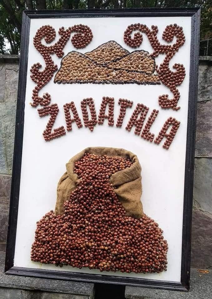 Как прошел Международный фестиваль фундука, грецкого ореха и каштана в Загаталы (ФОТО)