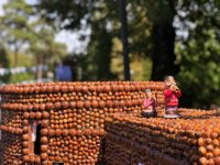 Как прошел Международный фестиваль фундука, грецкого ореха и каштана в Загаталы (ФОТО)