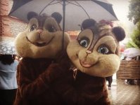 Как прошел Международный фестиваль фундука, грецкого ореха и каштана в Загаталы (ФОТО)