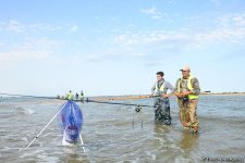 В Абшеронском национальном парке прошел турнир по рыболовству (ФОТО)