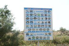 В Абшеронском национальном парке прошел турнир по рыболовству (ФОТО)