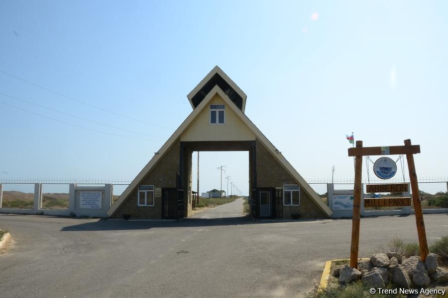 В Абшеронском национальном парке прошел турнир по рыболовству (ФОТО)