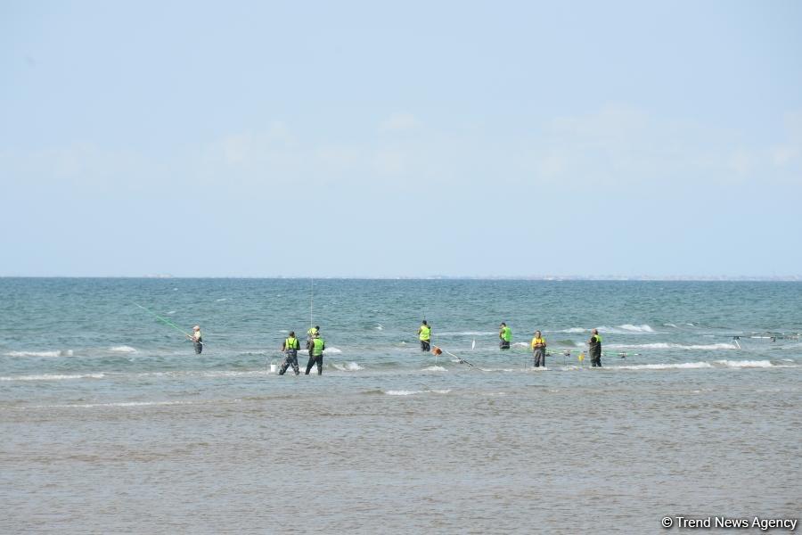 В Абшеронском национальном парке прошел турнир по рыболовству (ФОТО)