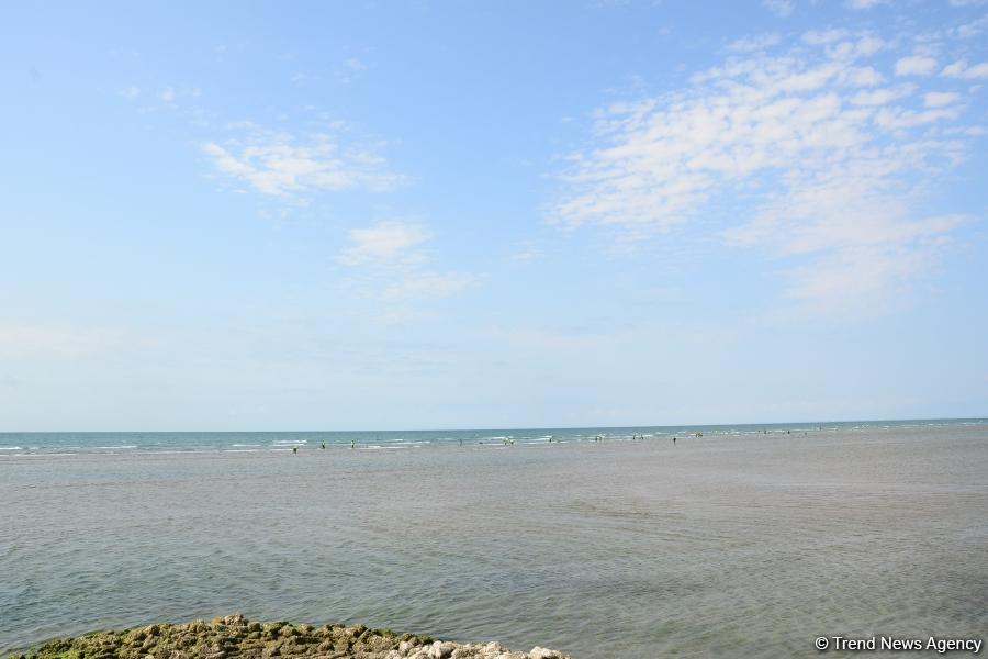 В Абшеронском национальном парке прошел турнир по рыболовству (ФОТО)