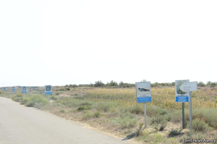 В Абшеронском национальном парке прошел турнир по рыболовству (ФОТО)