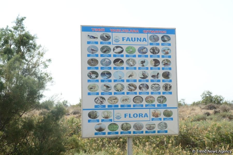 В Абшеронском национальном парке прошел турнир по рыболовству (ФОТО)