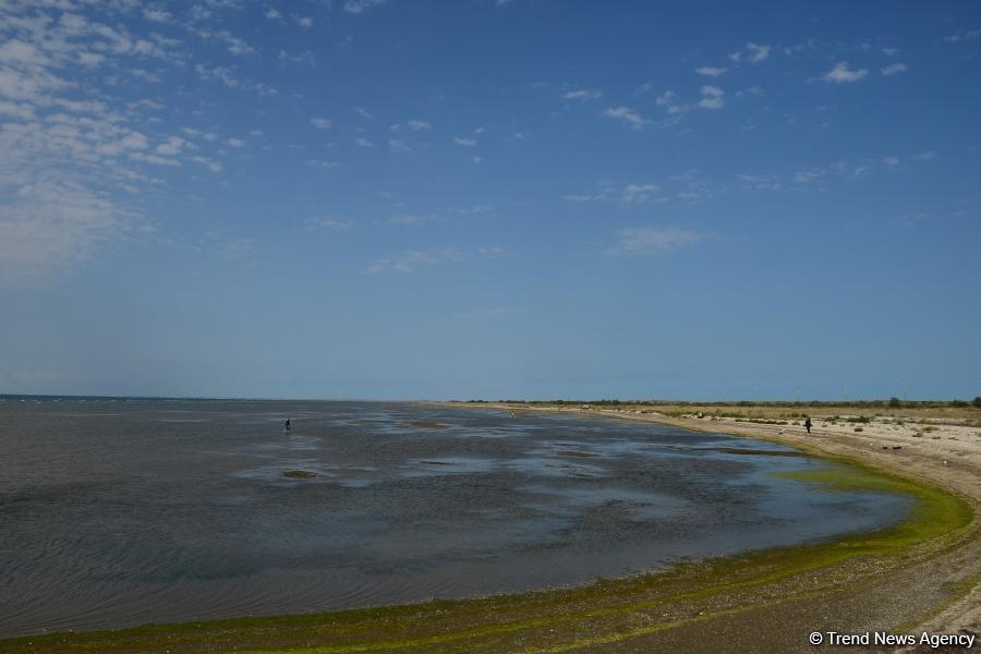 В Абшеронском национальном парке прошел турнир по рыболовству (ФОТО)
