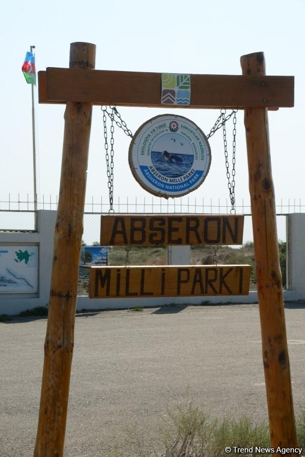 В Абшеронском национальном парке прошел турнир по рыболовству (ФОТО)