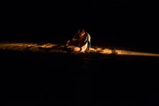 Целомудренная провокация в Баку – немая любовь… Он, она и некто третий (ФОТО)
