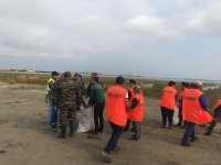 В Азербайджане начались акции под девизом "Говорим нет рыболовству синтетическими сетями и запрещенными орудиями“ (ФОТО)