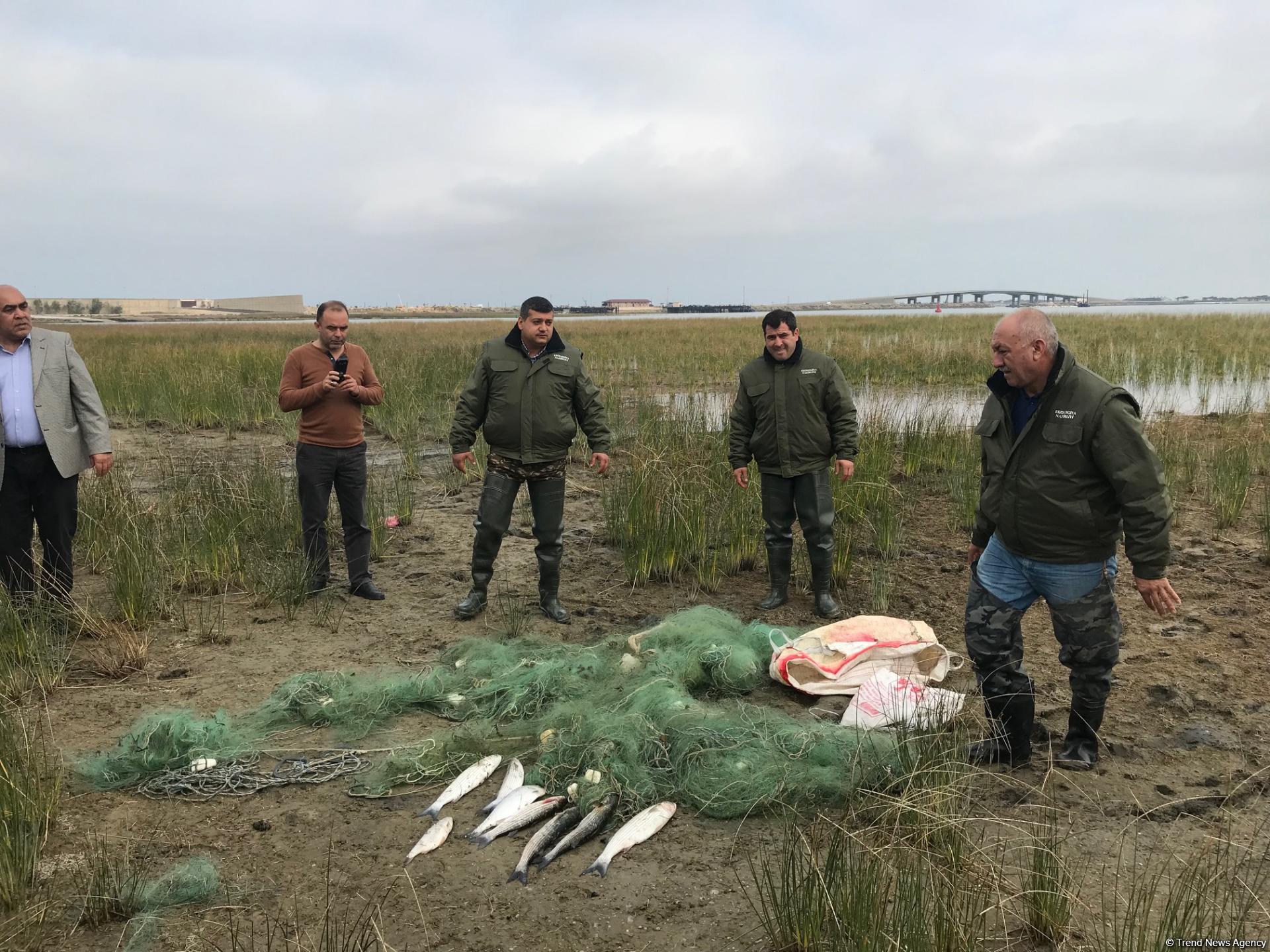 В Азербайджане начались акции под девизом "Говорим нет рыболовству синтетическими сетями и запрещенными орудиями“ (ФОТО)