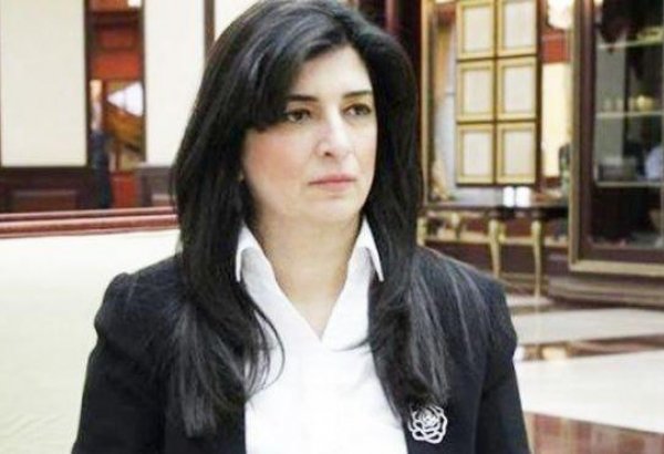 Радикальная оппозиция выводит людей на улицы, а сама живет в роскоши на "пожертвования" – депутат